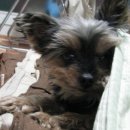 서울도봉초등학교 이미지