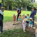 🌳박각시나방, 청띠제비나비 애벌레, 풍뎅이를 관찰했어요🌳 이미지