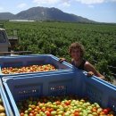 한빈농장 이미지