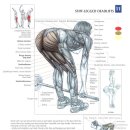 코리아헬스센타 이미지