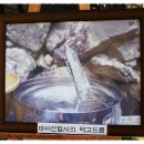 장수방화동캠핑장 이미지