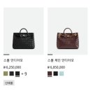 보테가베네타 콘서트파우치/보테가미니백에 유혹당한 후기