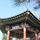 사송정 Daum카페