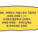 바잇더스윗