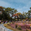 "죽도동 중앙로 150병상" 오거리사랑요양병원, 가까움보다 병실표