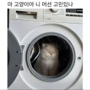 죽전동작은도서관 | 이번학기 성적 시원하게 공개합니다