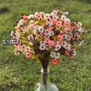 토닥토닥 이미지