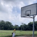 서쪽아이 이미지