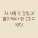 달목성주유소 | 차 시동 안걸릴때 확인해야 할 5가지 원인