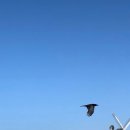 블루스카이 이미지