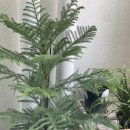 돈이농장 이미지