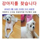 유람유치원 이미지