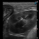 Dr.오즈동물병원 이미지