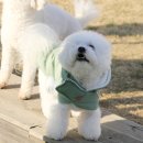 한강펫케어센터 이미지