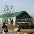 제일농장 | 용인포레스트벨🐰 | 아이들과 함께하는 동물체험농장 후기