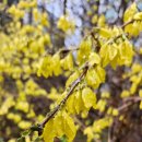 봄비어린이공원 이미지