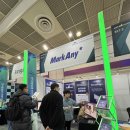 애니얼라인 이미지