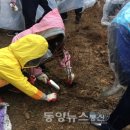 강서구-74 이미지