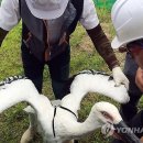황새공원 다목적광장 연합뉴스