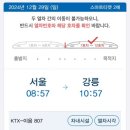 대구강릉여행 1박2일 뚜벅이 코스 day1 중앙시장 고고횟집 오프더월 테라로사 세인트제임스호텔