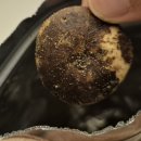 어니언팔레트 | 잠실 서보,쇼콜라팔레트 방문후기