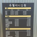강아지 미장원 | 수원 광교 미용실 맞춤형 뿌리 염색 잘 하는 곳 유월애미장원 수원광교점
