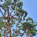 New 금강정비 이미지