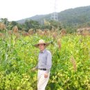 광양공용버스터미널 이미지