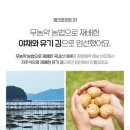 꼬마대장 이미지