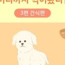 상암동물병원 이미지