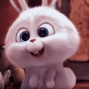 생명의 그물 1 이미지