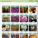 한국의 식물(고유종,원예종)총람 이미지