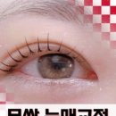 하루눈썹 이미지