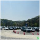 호암택지공원화장실2 | 용인 호암미술관 옛돌 고석 정원 산책 벚꽃 로드에서 만나는 봄 그리고 마망 풍경 기록