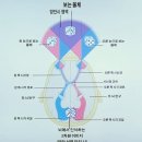 휴플러스안경원 네이버블로그