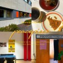 주식회사 피스피스 출판단지점 | 서울근교 대형카페 추천 파주 출판단지 피스피스 | 느좋감성 파이맛집 (애견동반야외테라스) 내돈내산