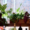 우리영농조합법인(두레) 이미지