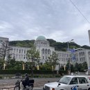 명원보석 | 마츠야마, 일본 숨은 보석 같은 소도시 여행기 ✈️