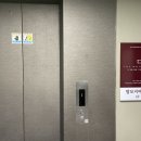 더문스칼프명동