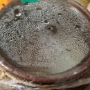 찬우물생태 이미지