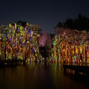 태마당공원 | 부천 까치울역 야간 부천자연생태공원 루미나래 예약 방법