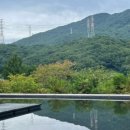 얼시마시원조양평해장국 이미지