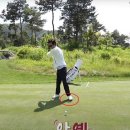 프렌즈스크린화정