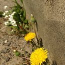 우성세차장 이미지