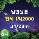 삼성중앙부동산공인중개사사무소 이미지