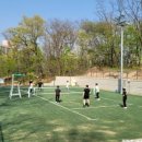 초안산 족구장 이미지