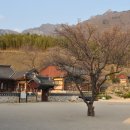 표충사 2 티스토리