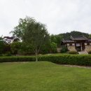 백송초밥 이미지