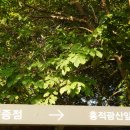 2018.05.31(목)화악지맥2차(졸업산행):홍적고개~몽.가.북.계~보납산~자라목[28.1km] 이미지