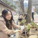 야생화단지 이미지